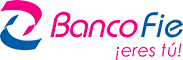 Logo FIE